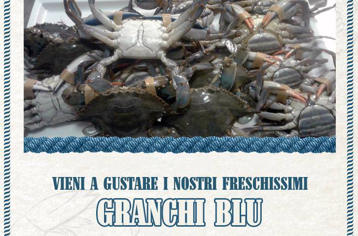 Friday at Fresh and Fried Roma – Granchi Blu