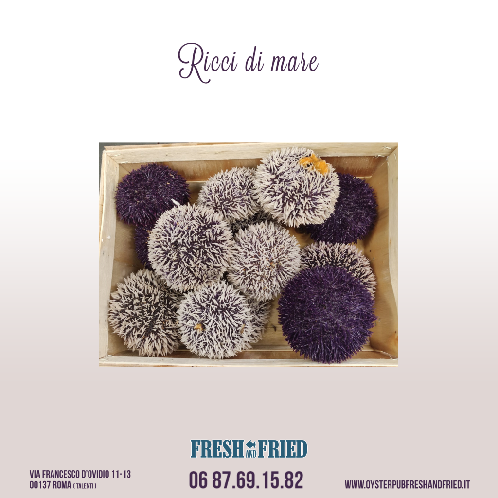 ricci-di-mare-fresh-and-fried